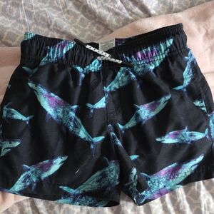 Art Class Black and Blue Swim Shorts
